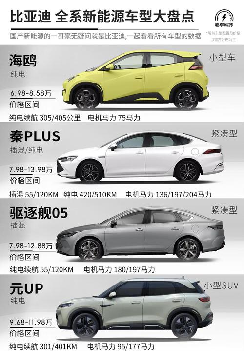 比亚迪e5电动车费用，比亚迪e5电动汽车售价  第2张