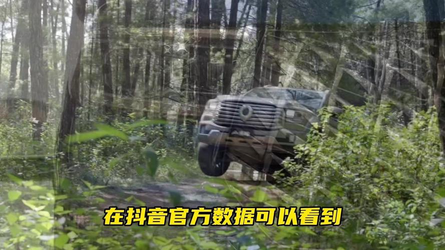 长城皮卡炮裸车费用多少钱？长城新款乘用皮卡炮？  第8张