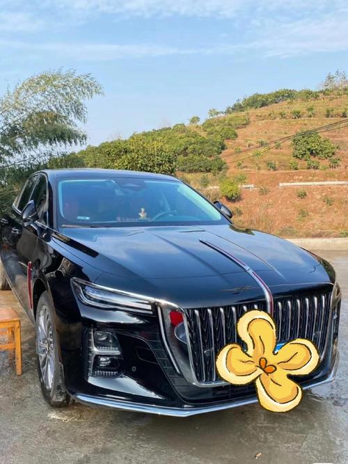 红旗汽车质量怎么样?，红旗hs5骂声一片？  第3张