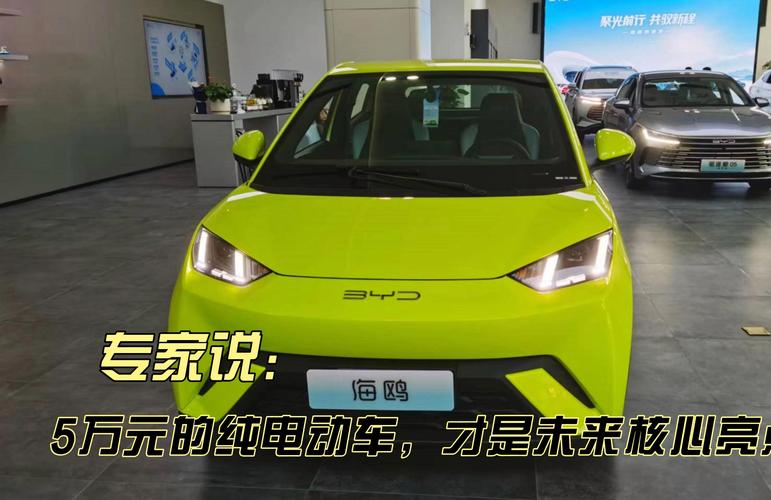 知豆d2电动车费用？知豆电动车2015款？  第4张