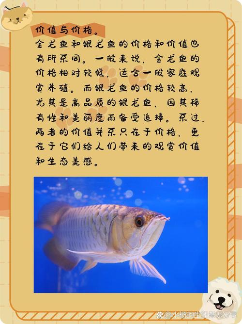 金龙鱼费用为什么那么贵，金龙鱼为什么便宜了  第3张