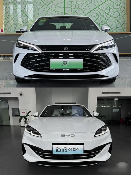 比亚迪元新能源汽车多少钱，比亚迪元新能源2021款费用？  第7张
