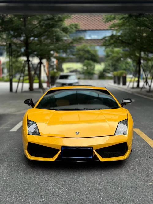 兰博基尼盖拉多lp550费用？兰博基尼盖拉多新车的费用？  第5张